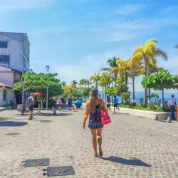 Morpho Mariposario Puerto Vallarta